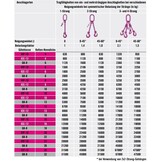 RUD 6mm VIP-Kettengehänge 2-Strang mit Sicherheitshaken VCGH, verkürzbar Güteklasse 10 WLL 2,1/ 1,5 Ton