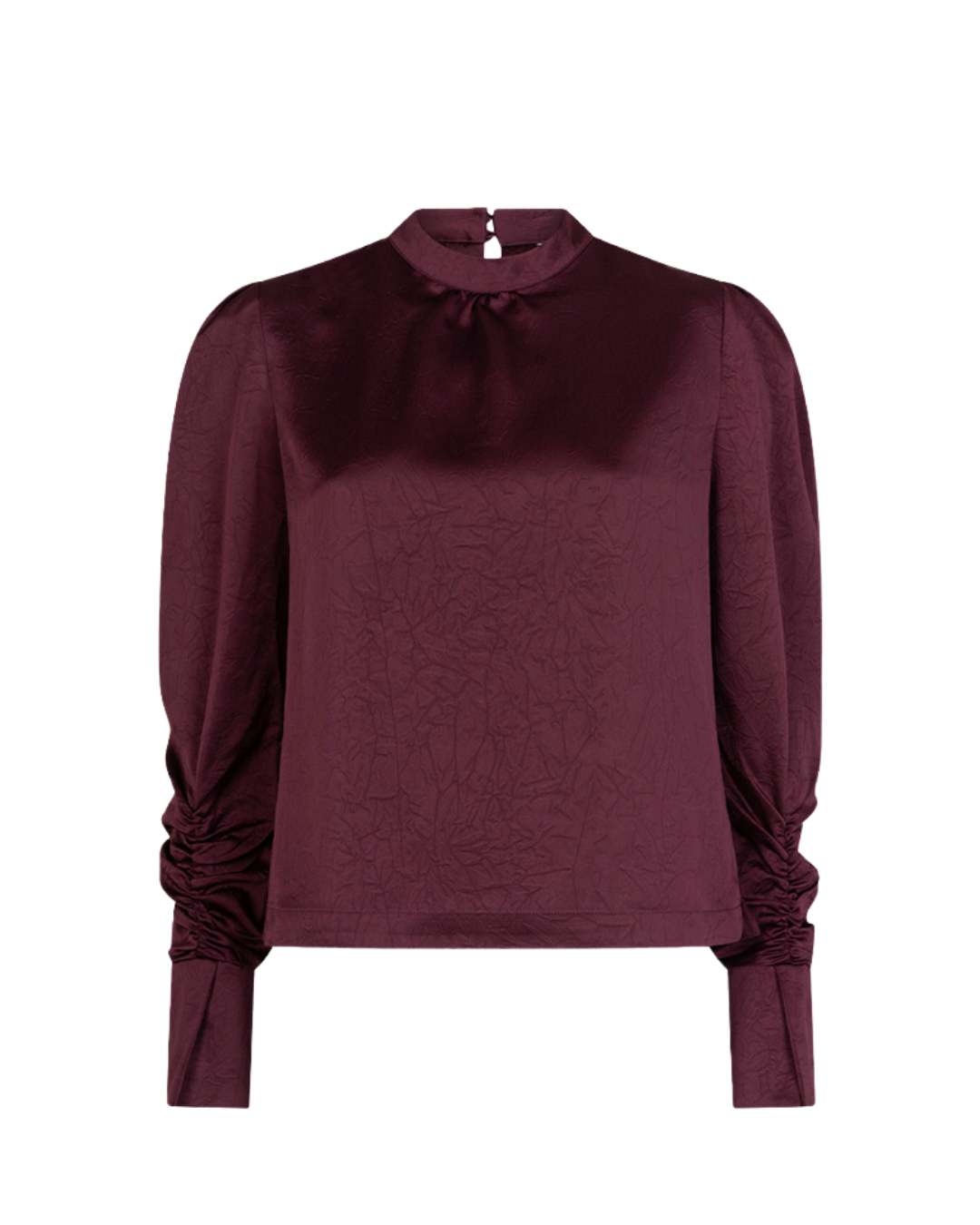 Dante 6 Pristine turtle top