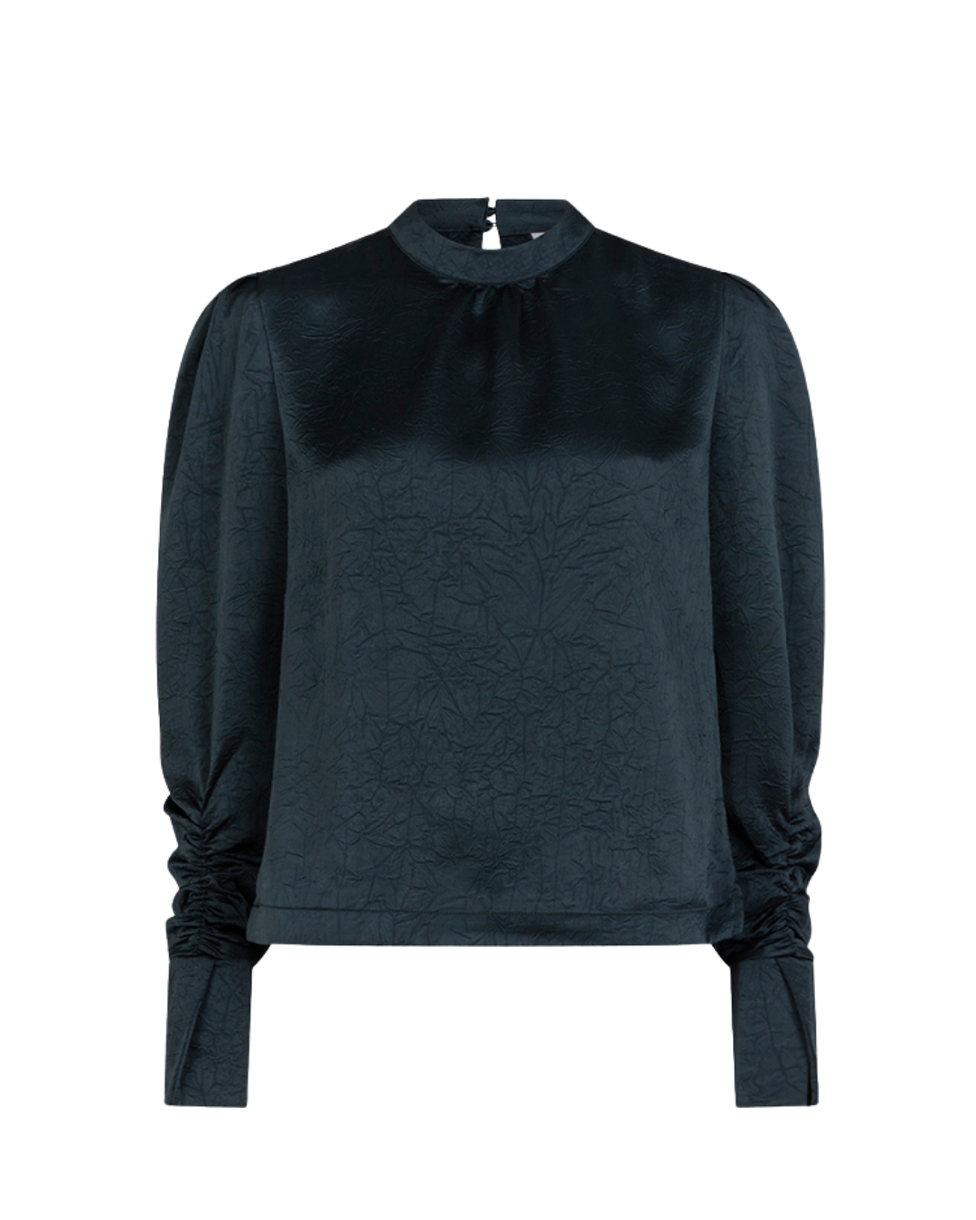Dante 6 Pristine turtle top