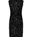 Fanya Velvet Sequins Dress