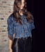 Denize Crop Denim Jacket