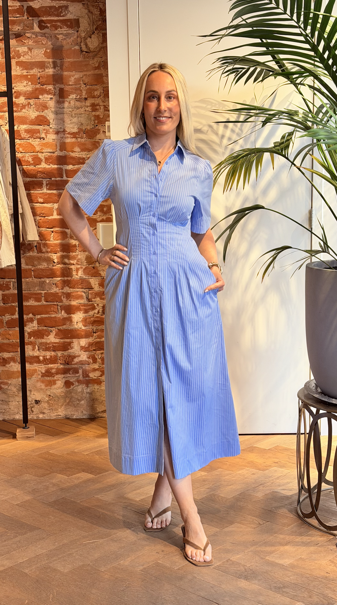 Baia Stripe Poplin Dress