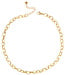 Kort ketting met grove ovale schakels