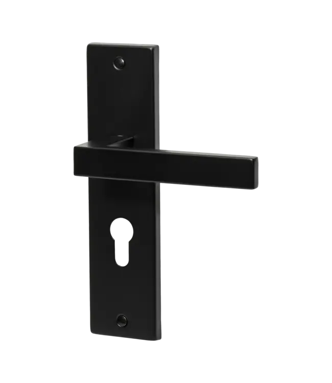 Doorhandle black cilinder