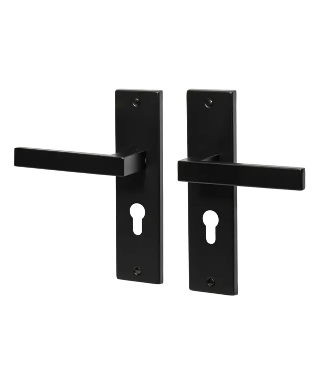 Doorhandle black cilinder
