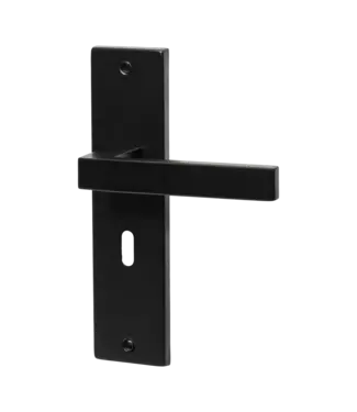 Doorhandle black key