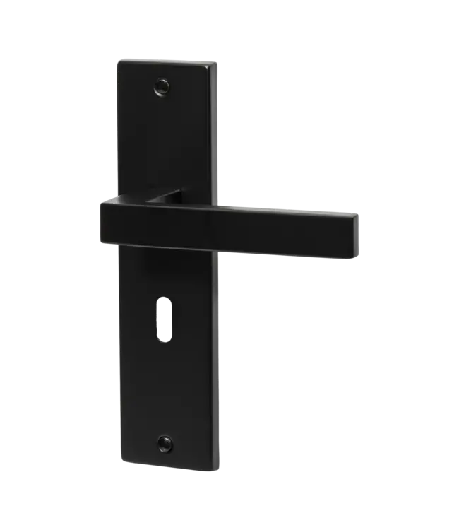 Doorhandle black key