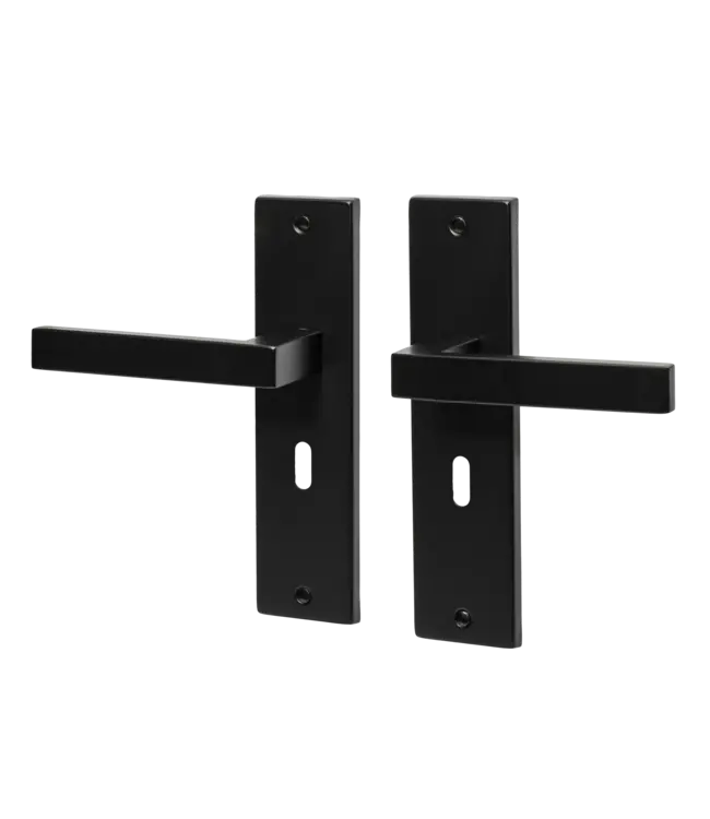 Doorhandle black key