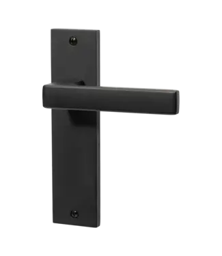 Door handle black