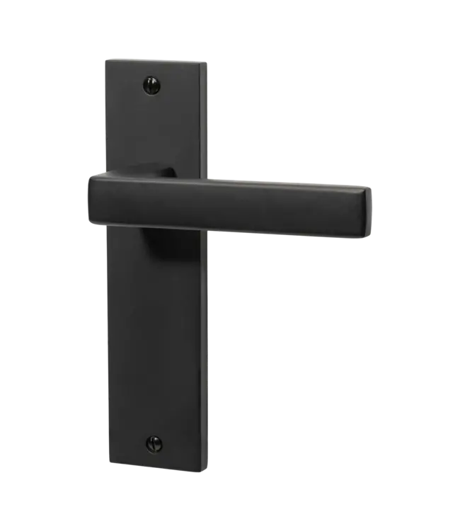 Door handle black