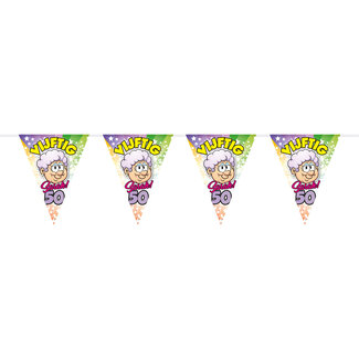 Folat 50 jaar Sarah Regenboog Vlaggenlijn - 10 meter