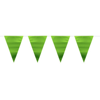 Folat Groene Metallic Mat Vlaggenlijn - 6 meter