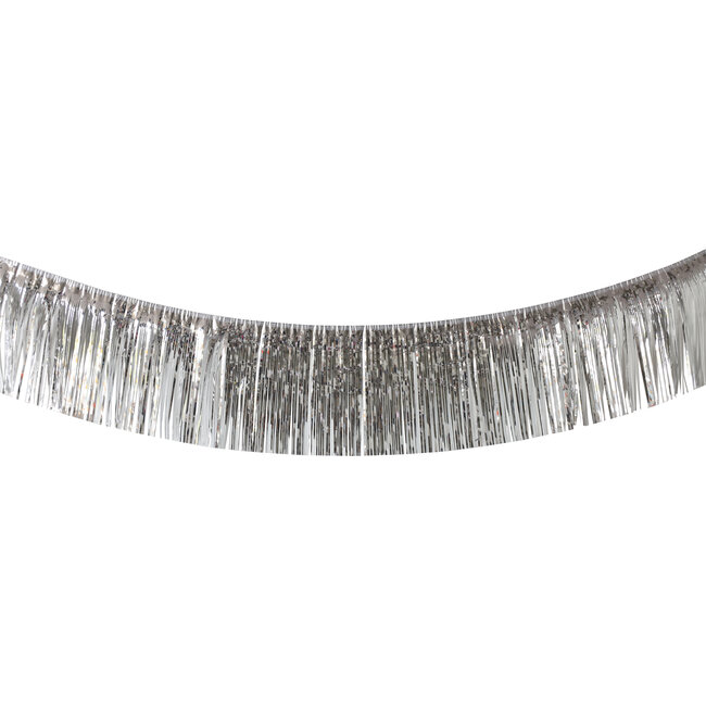 Franjeslinger Zilverkleurig - 6 meter