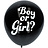 Gender Reveal Ballonnen