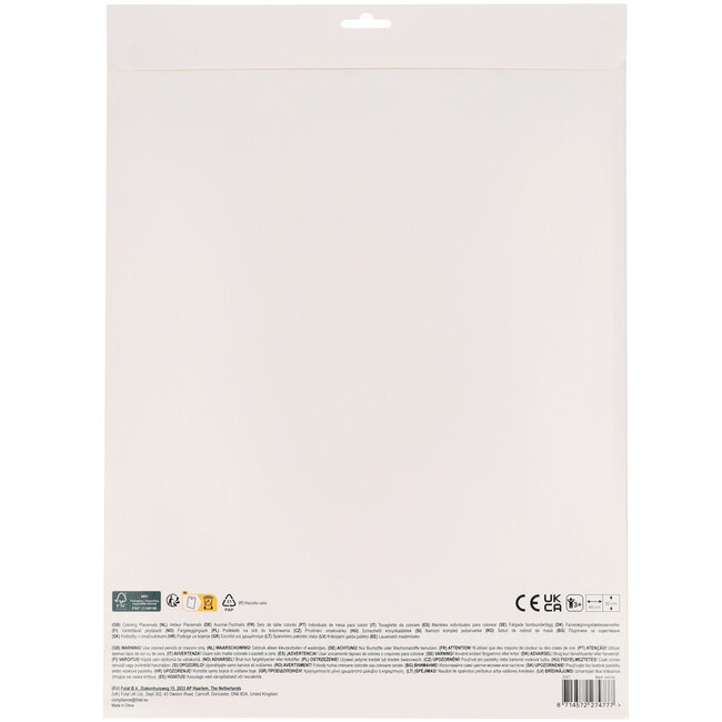 Activiteiten Placemat - Pirate Party - 6 stuks