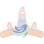 Feestpakket Unicorn Party