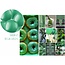 Ballonnen Radiant Regal Green Metallic 33cm - 10 stuks