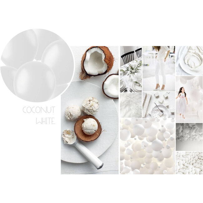 Ballonnen Coconut White Mat 33cm - 10 stuks