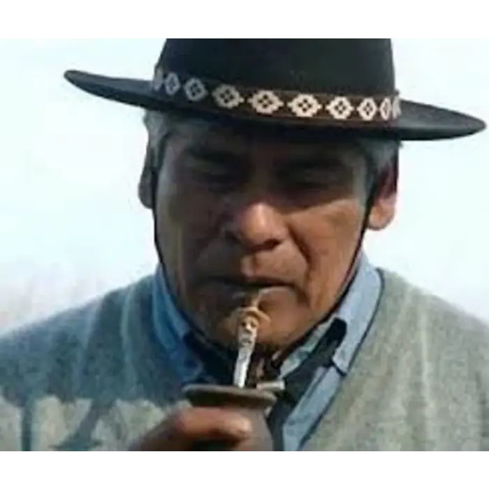 Bombilla (metalen rietje) voor Mate thee