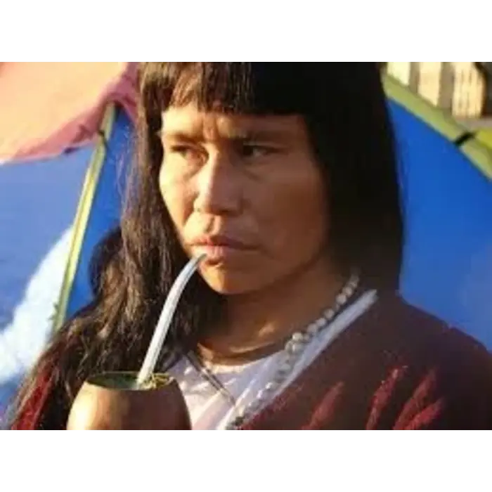 Kalebas voor Mate thee