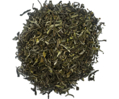 Darjeeling Snowview First flush 2025