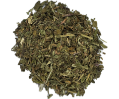 Paardenbloemkruid thee