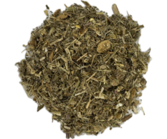 Immuunsysteem kruidenthee