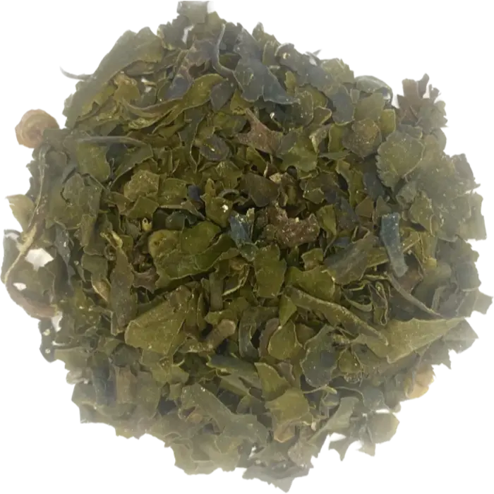 Zeewier gesneden grof