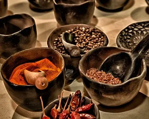 De top 10 kruiden van Nederland