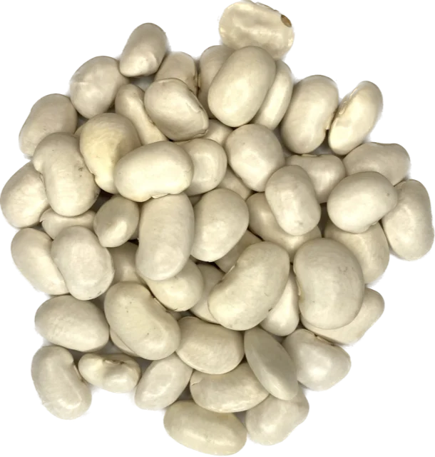 Grote Witte Bonen 