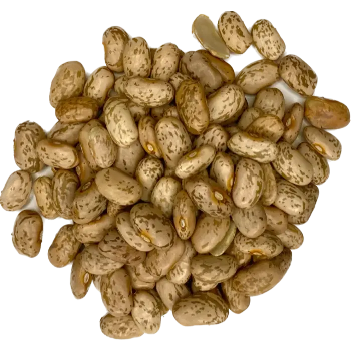 Kievitsbonen 500 gram