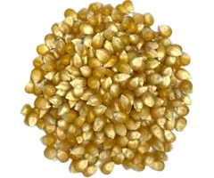 Popcornmais 1 kilo