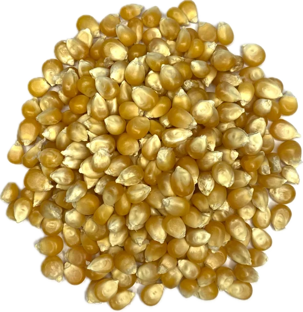 Popcornmais 1 kilo