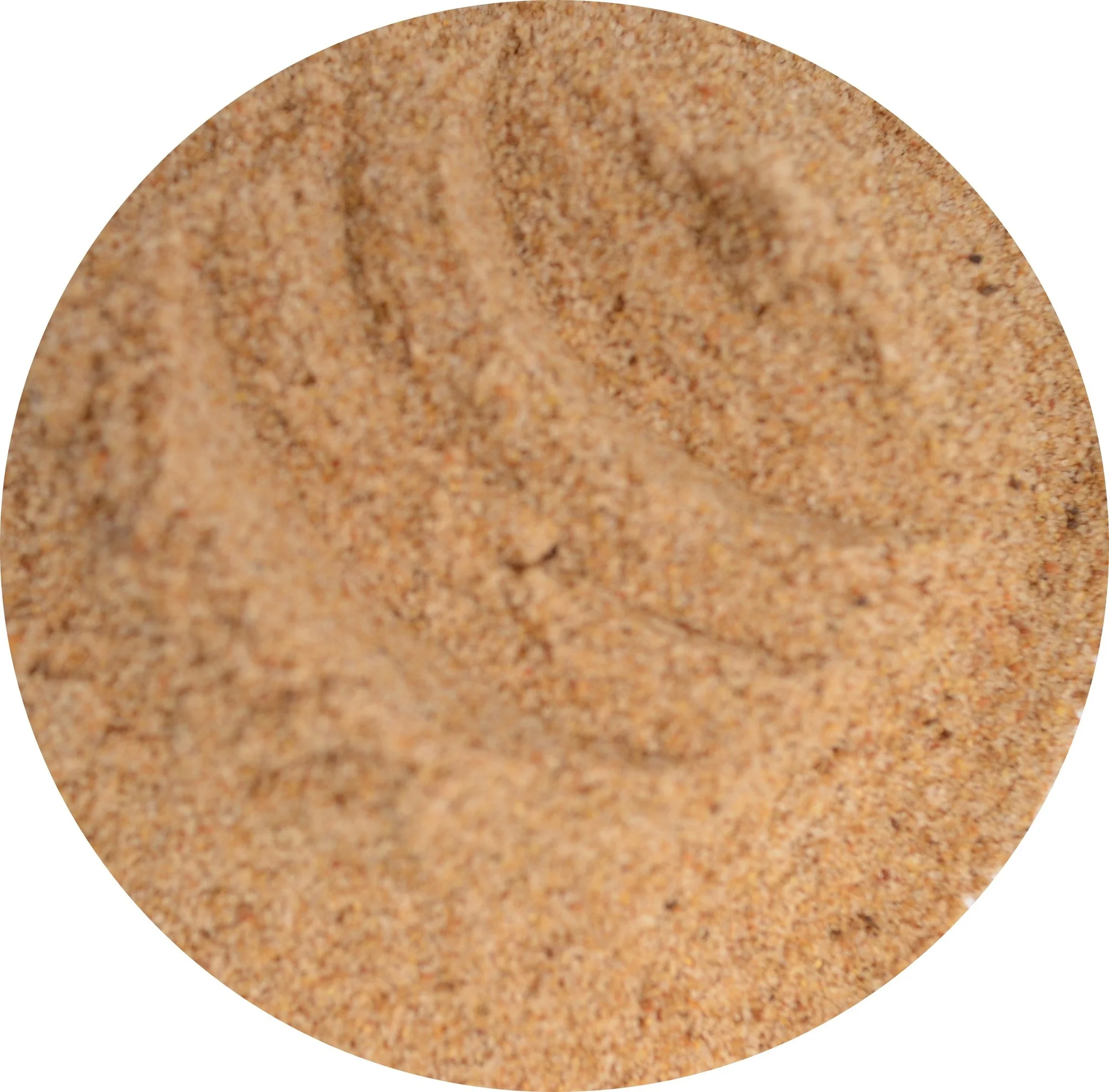 Gehaktkruiden Bretons