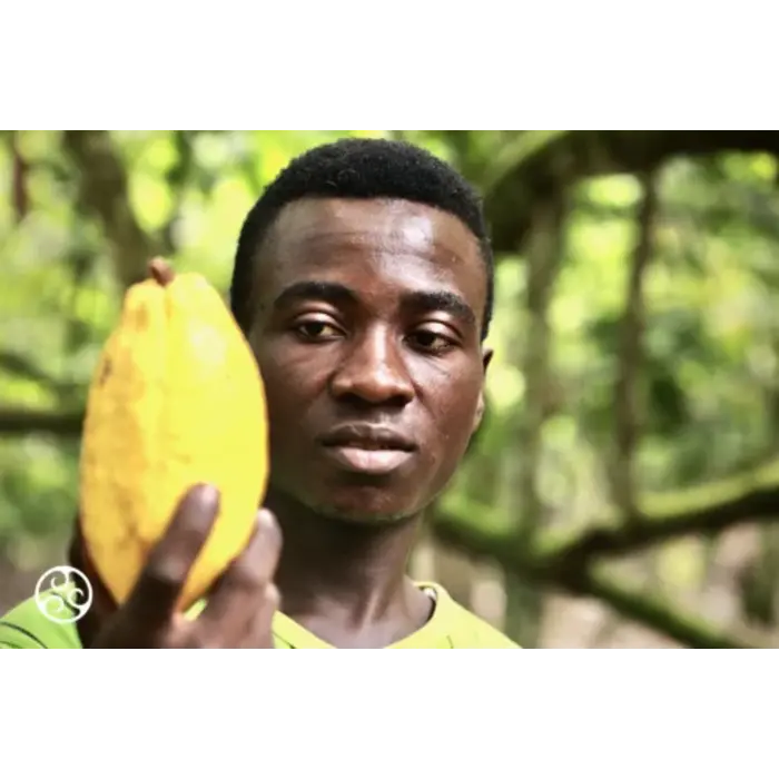 Chocolade Rocks Melk Callebaut