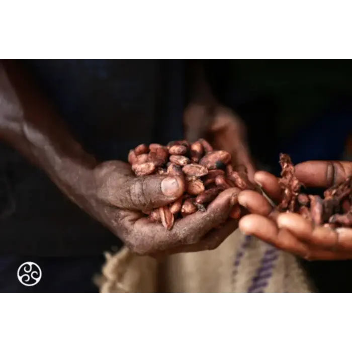 Chocolade Rocks Melk Callebaut