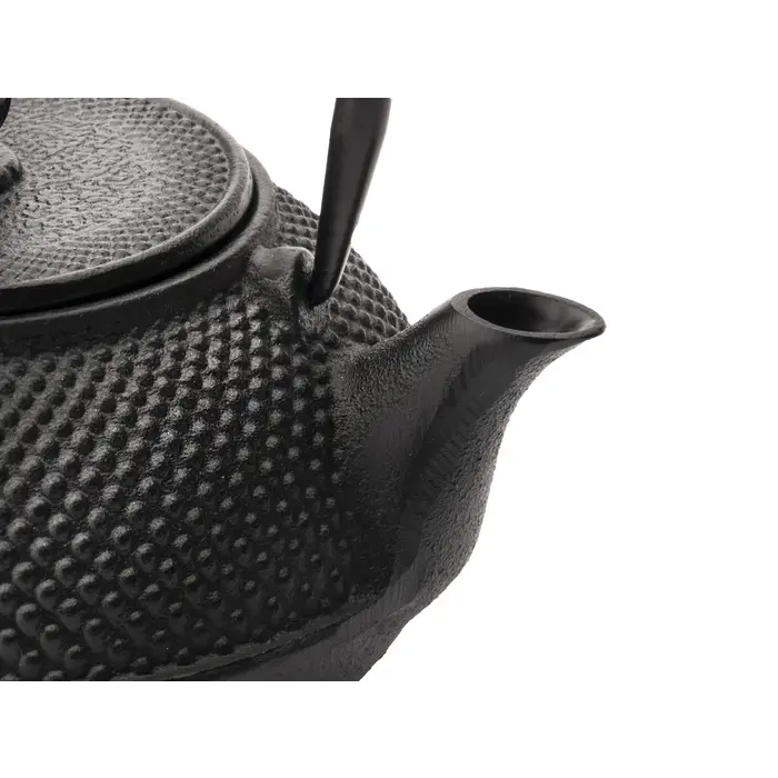 Bredemeijer Theepot Jang 0.8 L gietijzer zwart