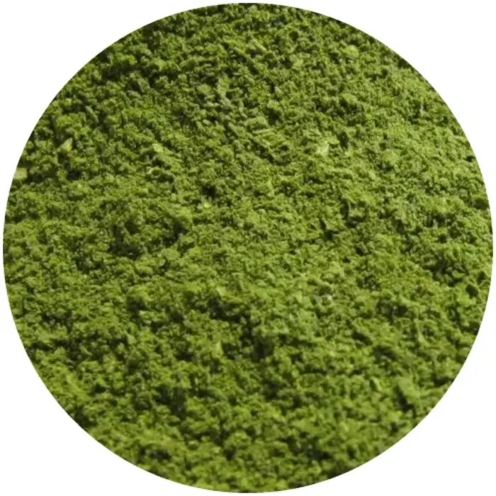 Moringa Oliefeira thee