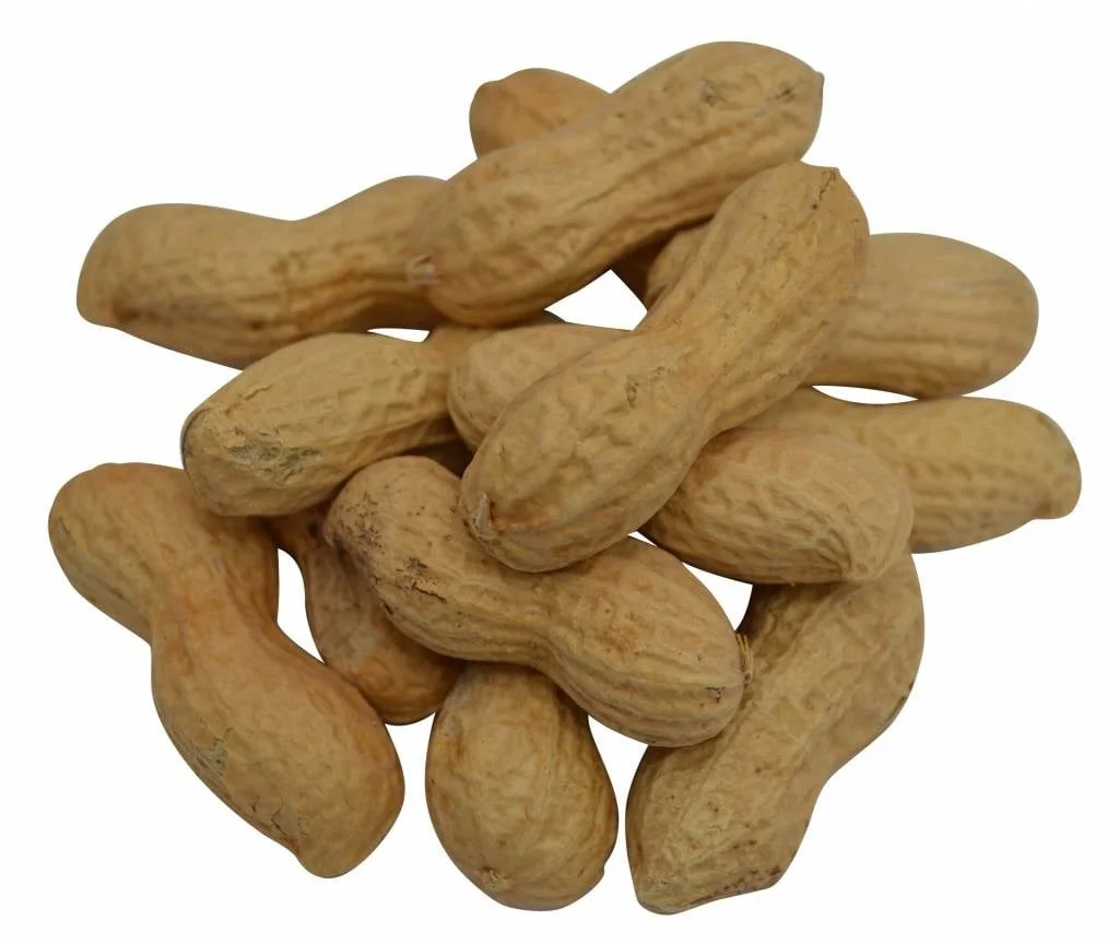 Doppinda's gebrand excellent