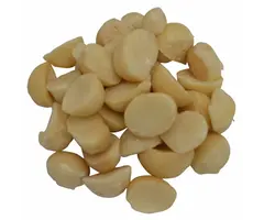 Macadamia noten ongebrand en ongezouten