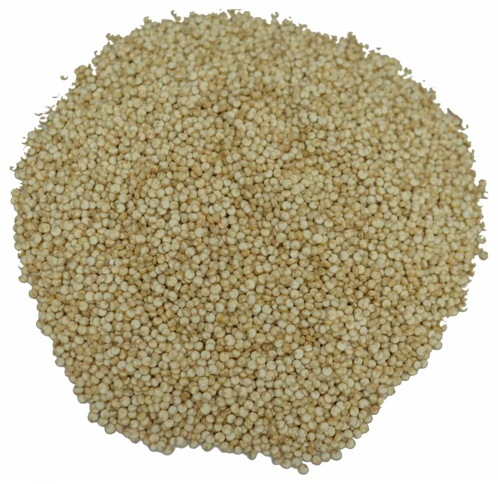 Quinoa