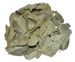Kerrieblad / Curryblad heel
