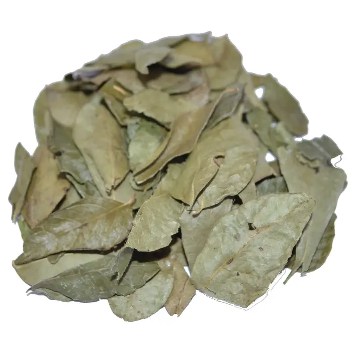 Kerrieblad / Curryblad heel