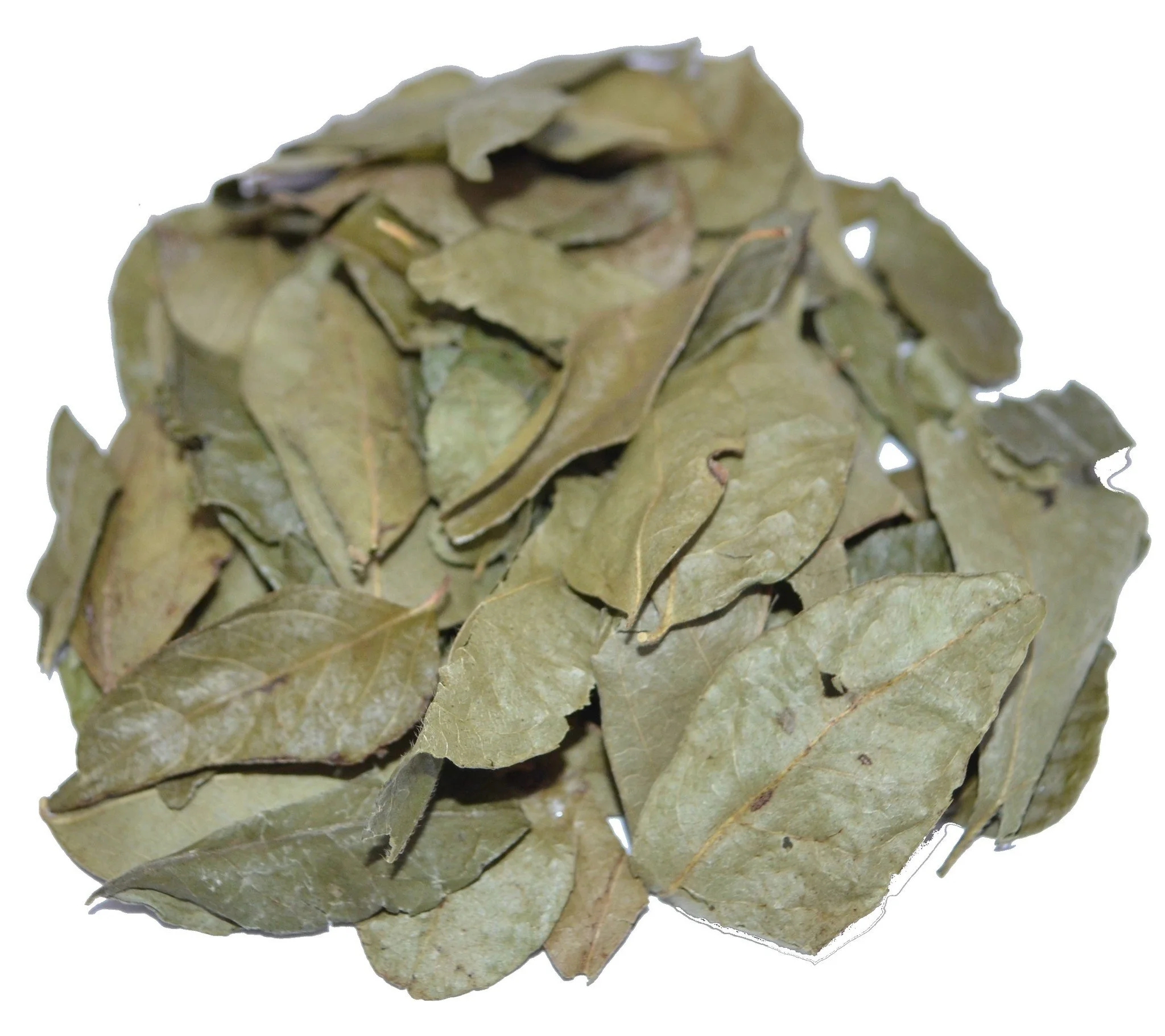 Kerrieblad / Curryblad heel