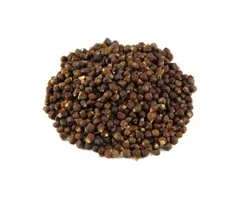 Paradijszaad of Maniquette peper