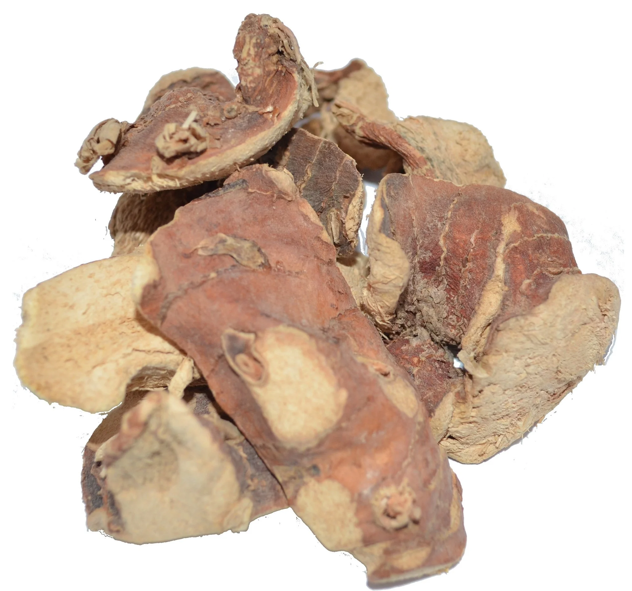 Galangawortel / Laos heel