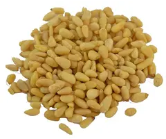 Pijnboompitten Sibirica