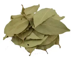 Laurierblad handpicked heel