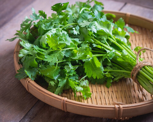 Koriander: aromatische smaakexplosie boordevol vitamines 