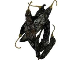 Pasilla Chilipeper heel